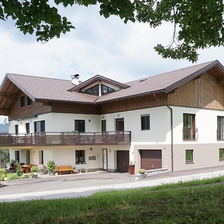 Ferienwohnung Hausleitner Zell am Moos Exterior photo