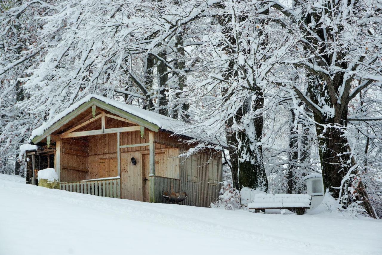 Ferienwohnung Hausleitner Zell am Moos Exterior photo